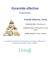 Bouji – Bougies & Fondants parfumés artisanaux | Naturels & faits main en Lorraine Bougie 120gr - Edelweiss