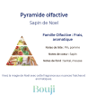 Bouji – Bougies & Fondants parfumés artisanaux | Naturels & faits main en Lorraine Bougie 120gr - Sapin de Noël