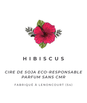 Bouji – Bougies & Fondants parfumés artisanaux | Naturels & faits main en Lorraine Fondants parfumés - Hibiscus