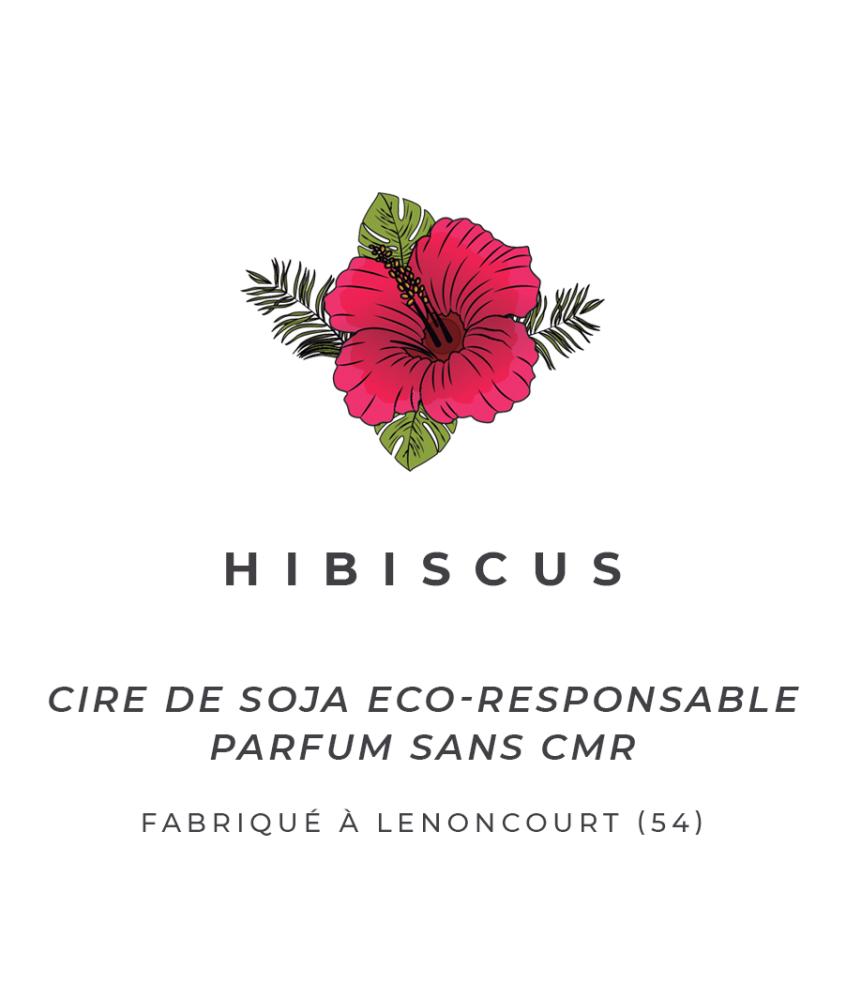 Bouji – Bougies & Fondants parfumés artisanaux | Naturels & faits main en Lorraine Fondants parfumés - Hibiscus Bouji – Bougies & Fondants parfumés artisanaux | Naturels & faits main en Lorraine Fondants parfumés - Hibiscus