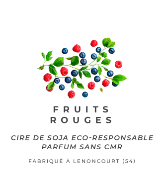 Bouji – Bougies & Fondants parfumés artisanaux | Naturels & faits main en Lorraine Fondants parfumés - Fruits rouges