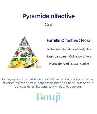 Gui