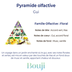 Fondant parfumé - Gui - 5gr