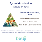 Fondant parfumé - Balade en forêt  - 5gr