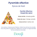 Fondant parfumé - Epices de Noel - 5gr