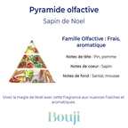 Fondant parfumé - Sapin de Noël - 5gr
